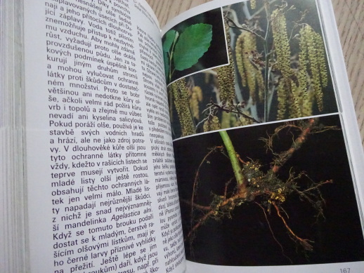PEVNINSKÉ VODY A MOKŘADY, PRŮVODCE PŘÍRODOU, **an