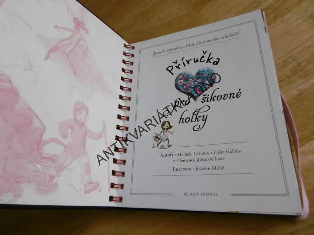 PŘÍRUČKA PRO ŠIKOVNÉ HOLKY, KNIHA NÁPADŮ, **an
