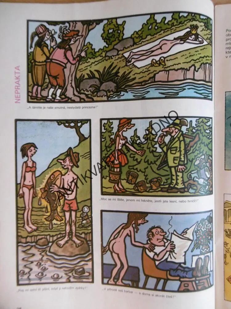 MAGAZÍN DIKOBRAZU