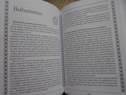 SLOVNÍK ŠTĚSTÍ A POHODY, VÁCLAV BUDINSKÝ, **an