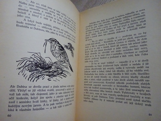 DUBINA, JOSEF GOLDMANN, **an