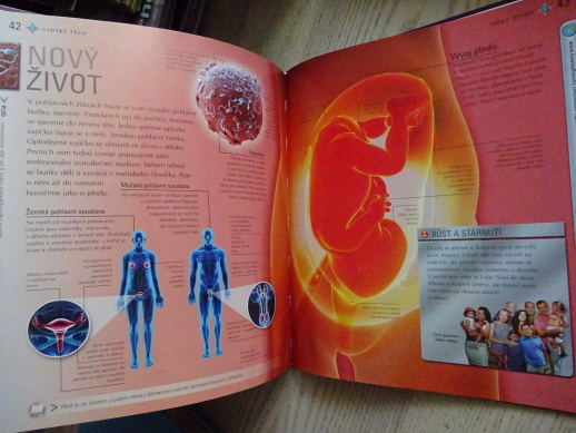 LIDSKÉ TĚLO, TKÁNĚ A ORGÁNY, TĚLESNÉ FUNKCE, **an