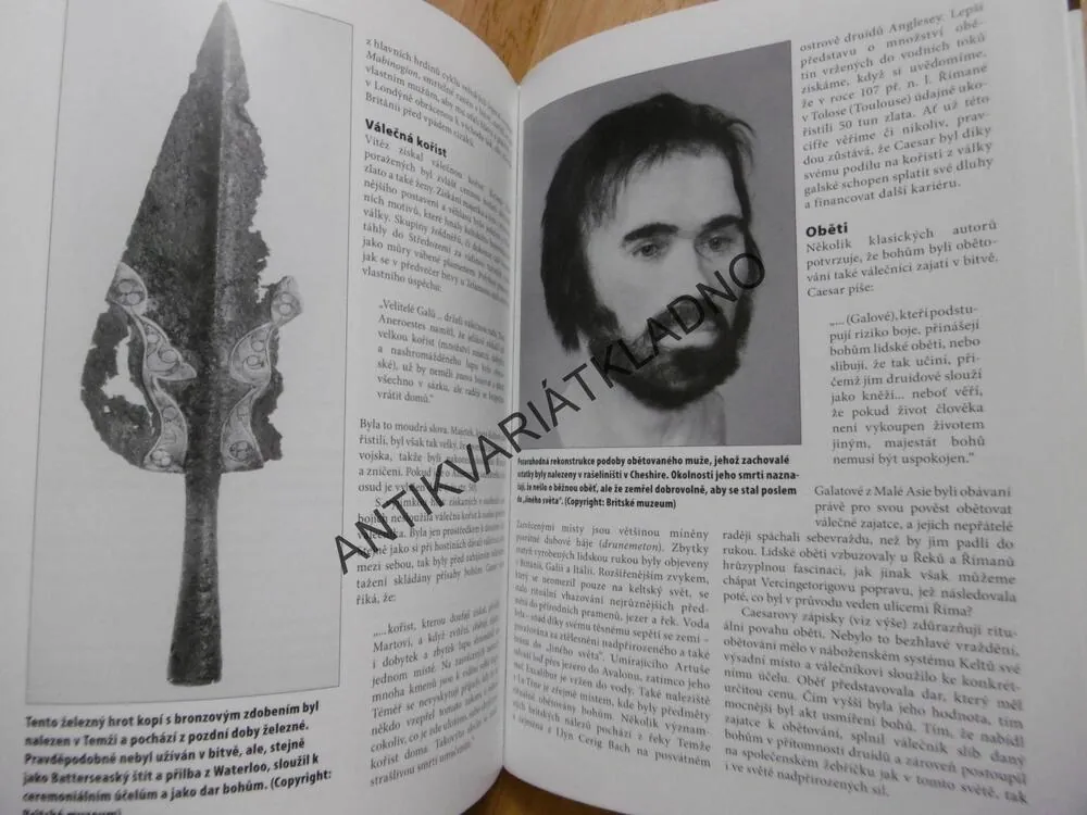 KELTŠTÍ VÁLEČNÍCI,ALLEN, REYNOLDS