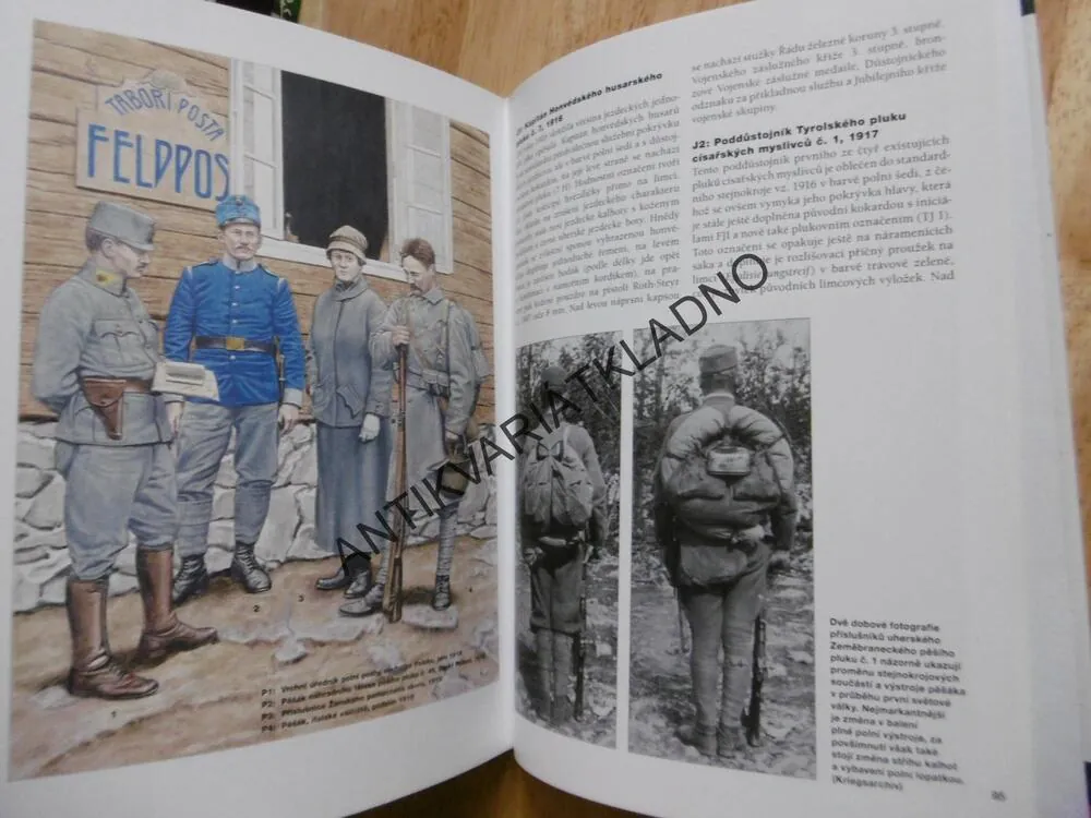 RAKOUSKO-UHERSKÁ ARMÁDA ZA PRVNÍ SVĚTOVÉ VÁLKY, JUNG, PAVLOVIČ
