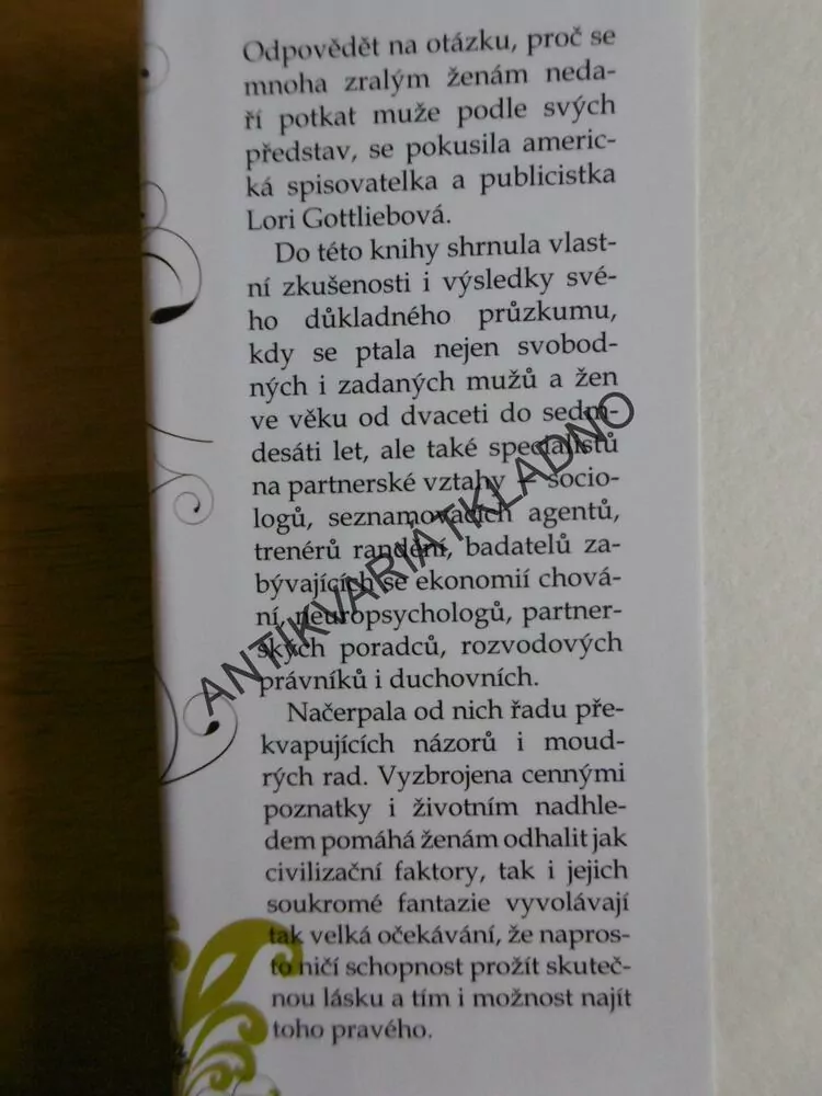 JAK NAJÍT MANŽELA, LORI GOTTLIEBOVÁ