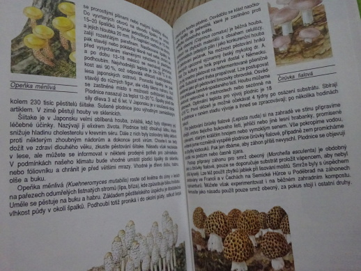 CO NEVÍME O HOUBÁCH, BAIER, VANČURA, **an