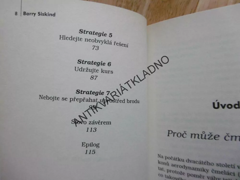 ČMELÁCI PŘECE NEMOHOU LÉTAT... BARRY SISKIND