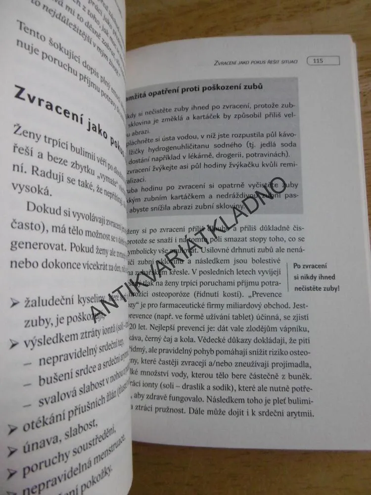MÍSTO ČINU LEDNIČKA, KDYŽ SE Z JÍDLA STANE PROBLÉM,GÖCKEL, **an