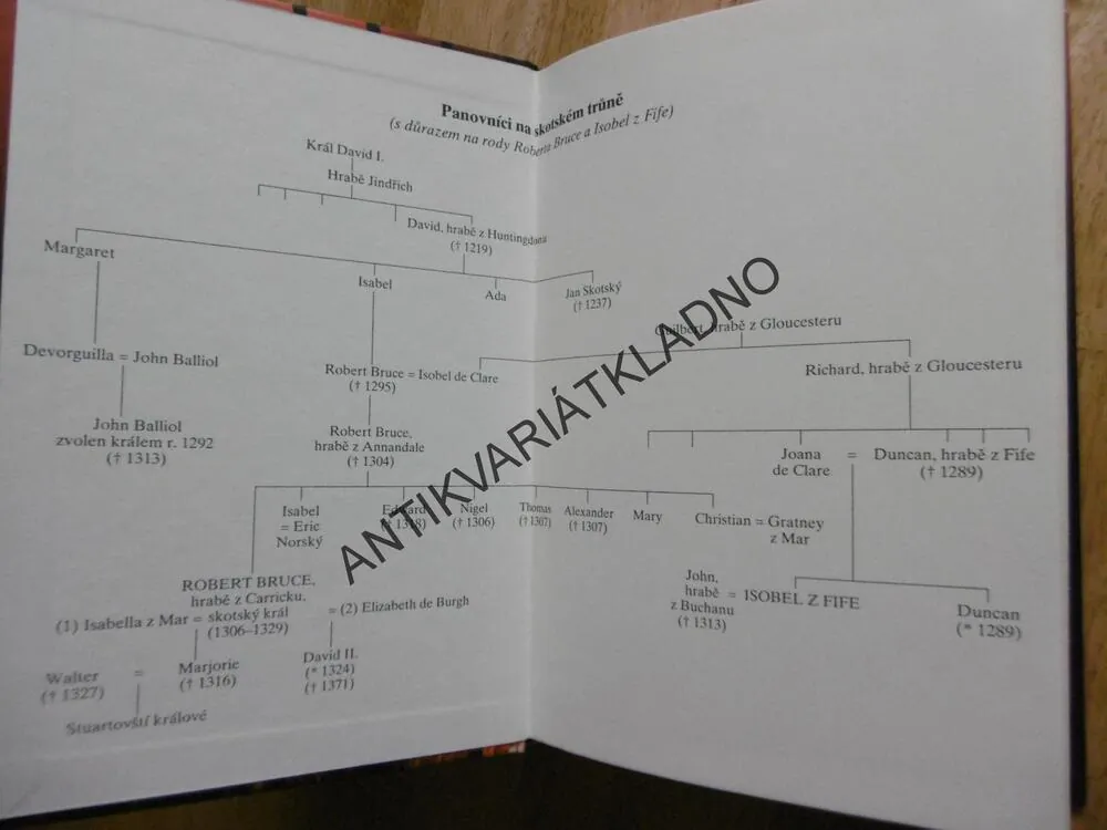 KRÁLOVSTVÍ STÍNŮ, BARBARA ERSKINOVÁ, **an