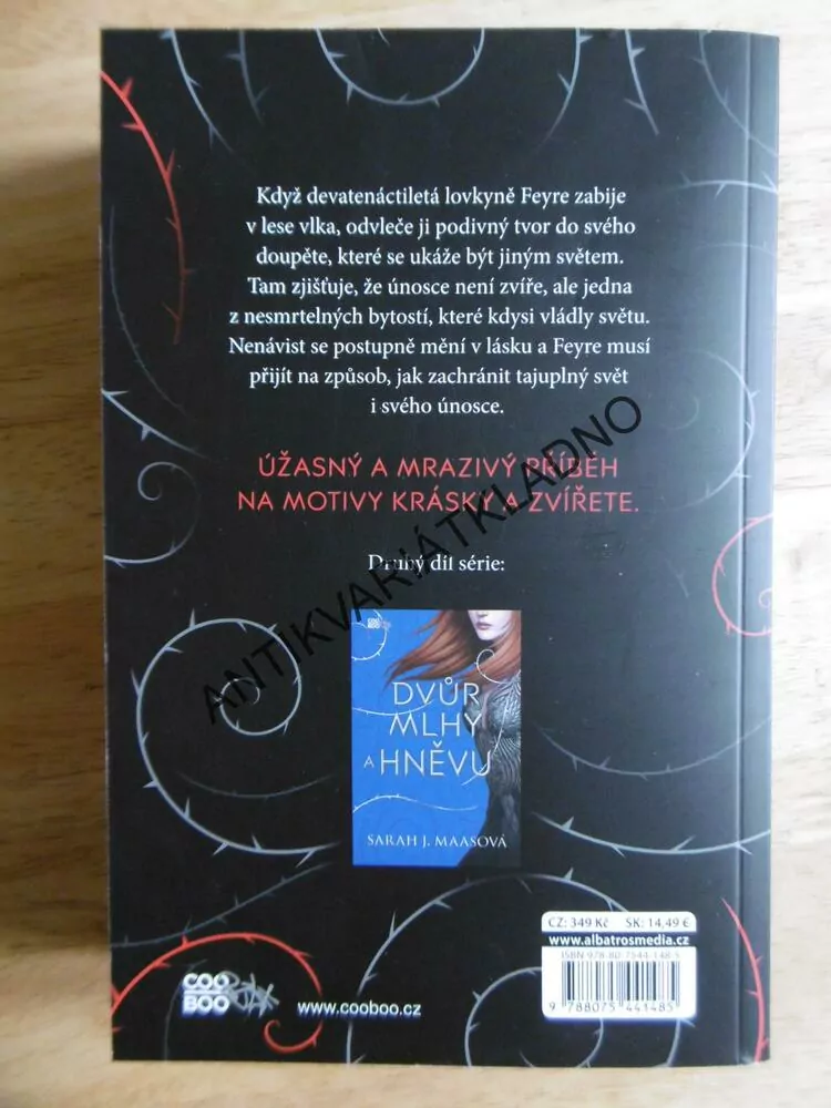 DVŮR TRNŮ A RŮŽÍ, SARAH J.MAASOVÁ
