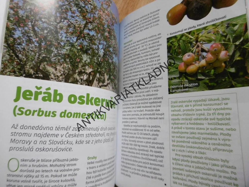 OVOCNÉ STROMY, EDICE RECEPTÁŘ, **an