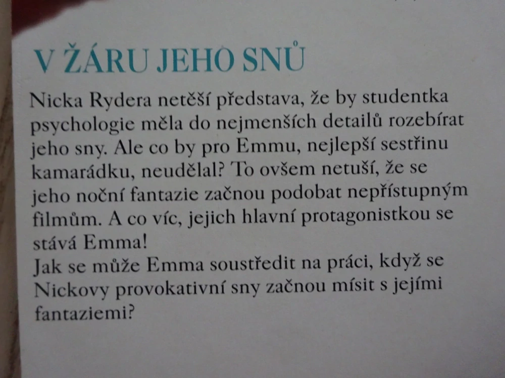 V ŽÁRU JEHO SNŮ, DEBBI RAWLINS, **an