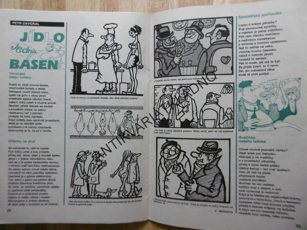 MAGAZÍN DIKOBRAZU, 3/93