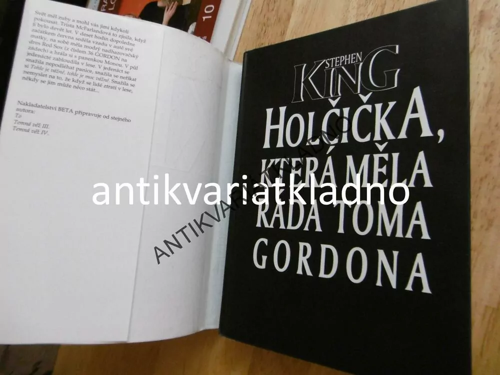 HOLČIČKA, KTERÁ MĚLA RÁDA TOMA GORDONA, STEPHEN KING, **an