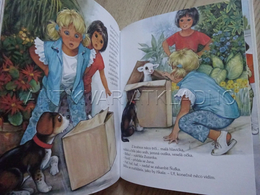 ZUZANKA NA KOLEČKOVÝCH BRUSLÍCH, **an