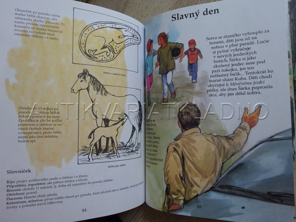 V ŘÍŠI KONÍ, KARINE LEFRANC, FRANCOISE LE GLOAHEC, PIERRE COURONNE, **an