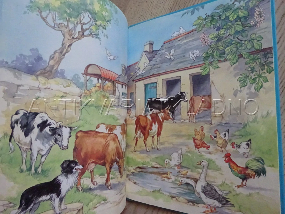 ZVÍŘÁTKA A JEJICH DĚŤÁTKA, **an