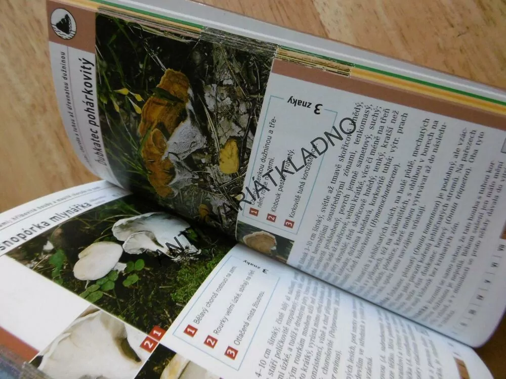 HOUBY, PRŮVODCE PŘÍRODOU, URČOVÁNÍ PODLE 3 ZNAKŮ, MYKOLOGIE, **an