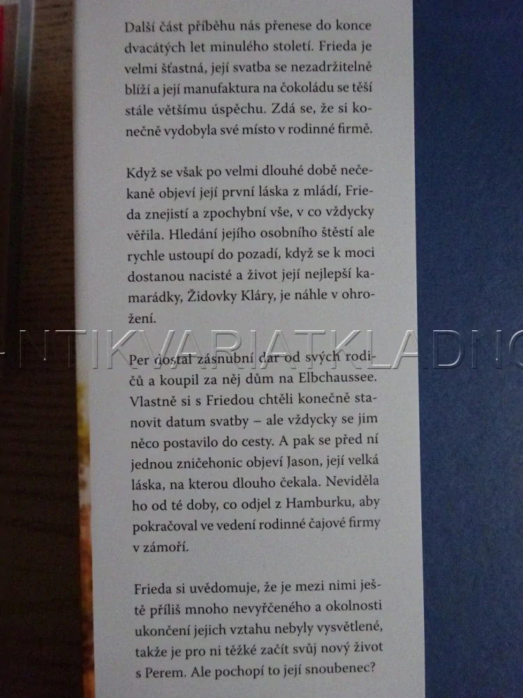 ROKY NA BŘEHU ELBCHAUSSEE, LENA JOHANNSON, **an