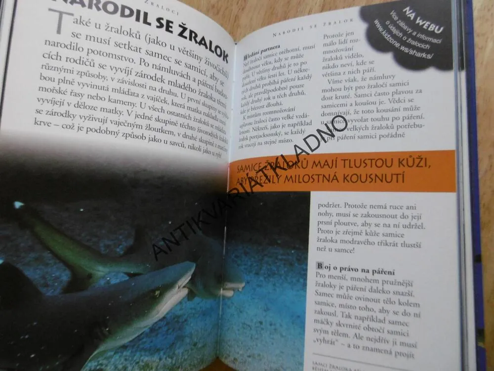 ŽRALOCI A JINÁ DĚSIVÁ MOŘSKÁ STVOŘENÍ, 