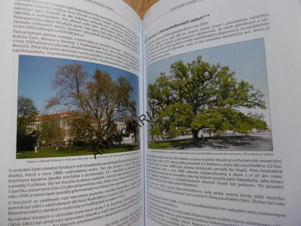 PAMÁTNÉ STROMY PRAHY, KYZLÍK, RUDL, **an