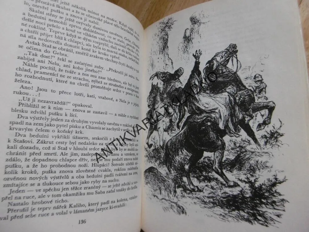 KOD 15 - POUŠTÍ A PRALESEM, HENRYK SIENKIEWICZ, JUNEK, **an