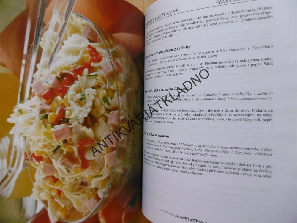 VELKÁ KNIHA SALÁTŮ, SABOVÁ, BENÍŠEK, 1000 RECEPTŮ, **an