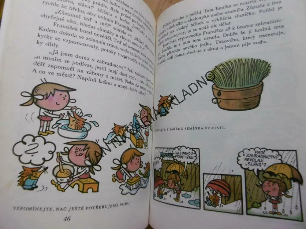 JAK JEŽEK HLEDAL DÉŠŤ, DAGMAR LHOTOVÁ, FALTOVÁ