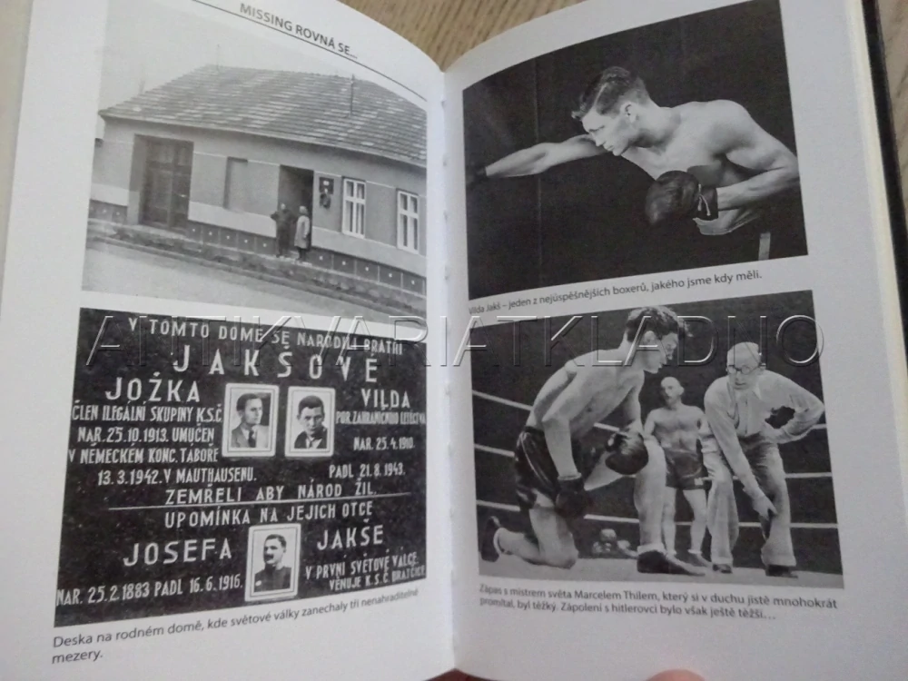 VAVŘÍNY PRO MRTVÉ VÍTĚZE, ROMAN CÍLEK, **an