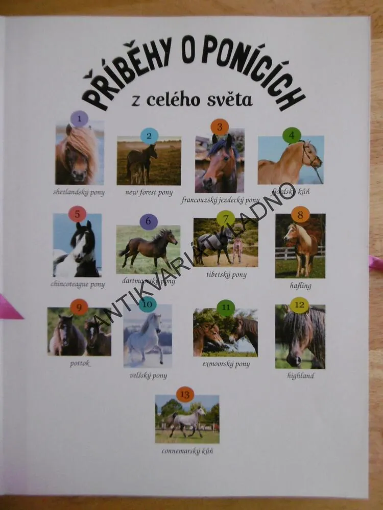 PŘÍBĚHY O PONÍCÍCH Z CELÉHO SVĚTA