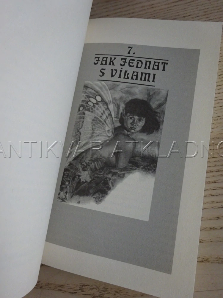 JAK SE SETKAT S VÍLAMI, ANNA FRANKLIN, **an