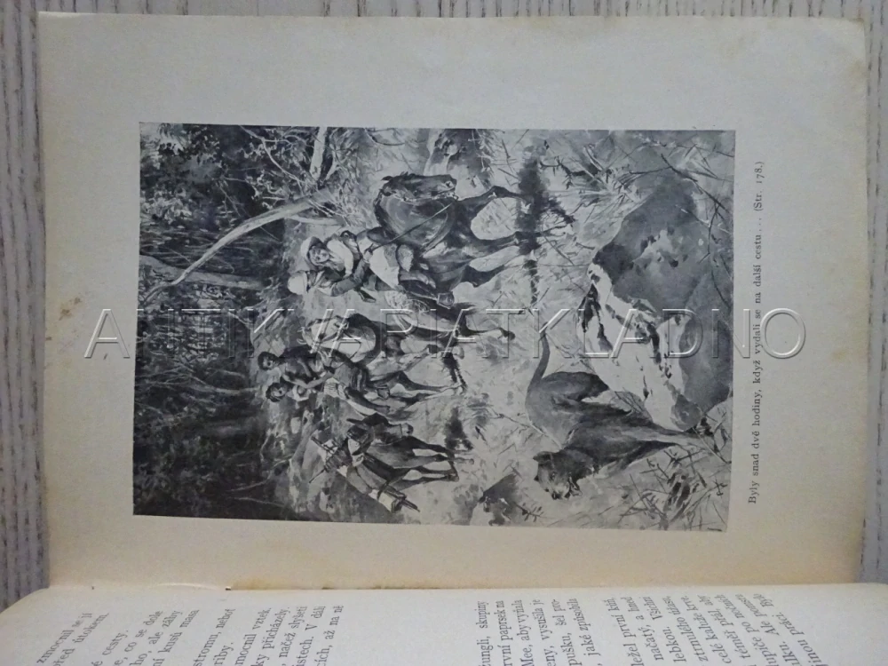 V PUSTINÁCH, HENRYK SIENKIEWICZ, **an