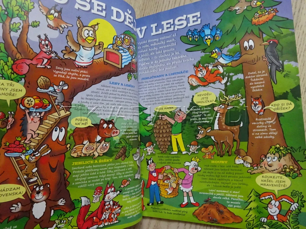 ČTYŘLÍSTEK SPECIÁL, CO SE DĚJE V LESE, 4/2020