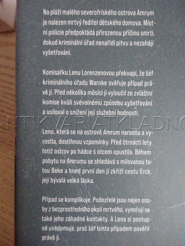 MRTVÝ NA PLÁŽI, ANNA JOHANNSEN, **an