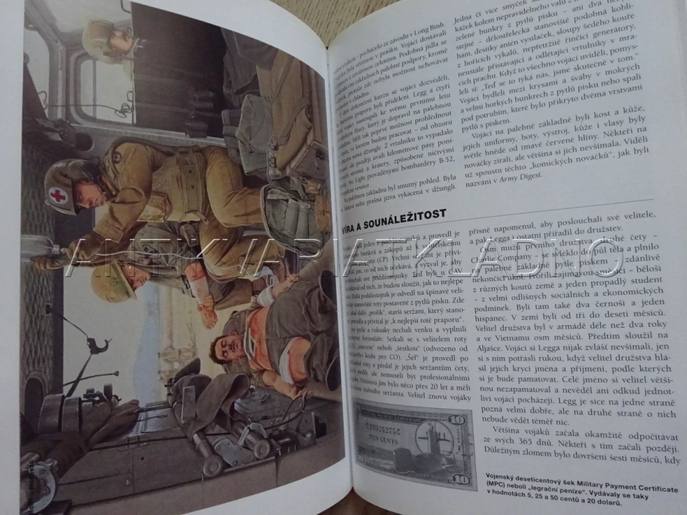 AMERICKÁ PĚCHOTA ZA VE VIETNAMU, 1965-1973, **an