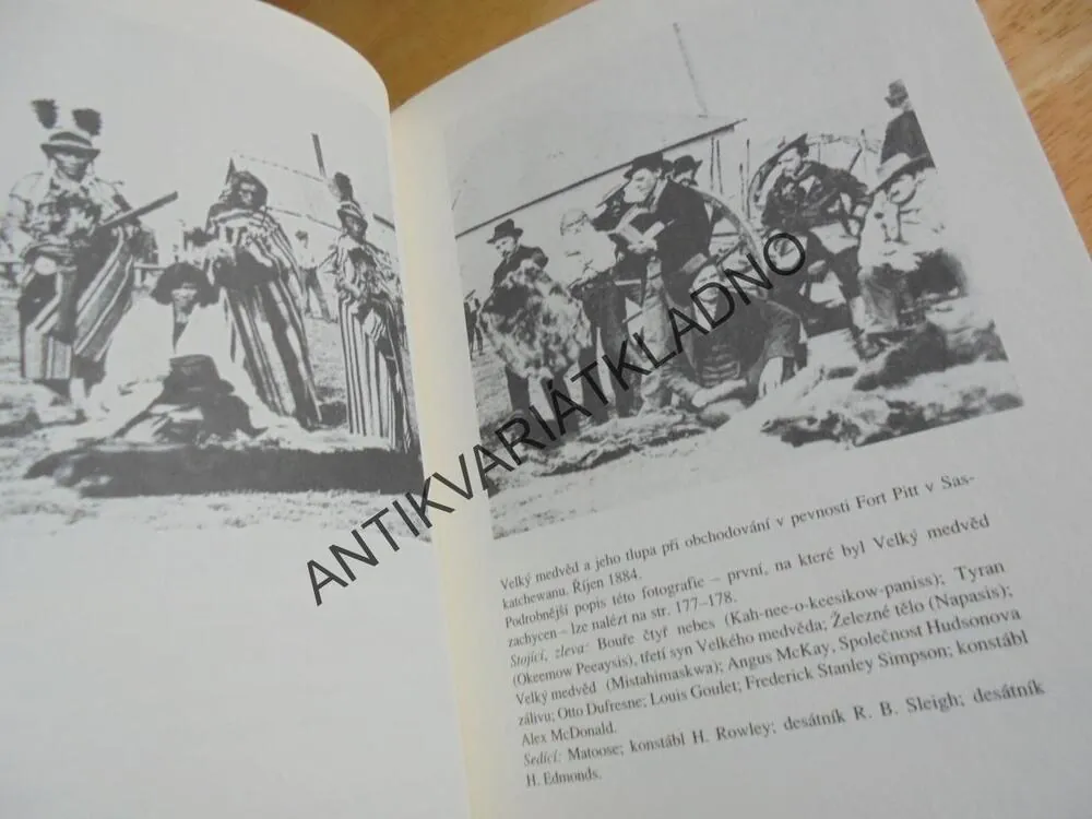 VÁBENÍ VELKÉHO MEDVĚDA, RUDY WIEBE, AMERIKA