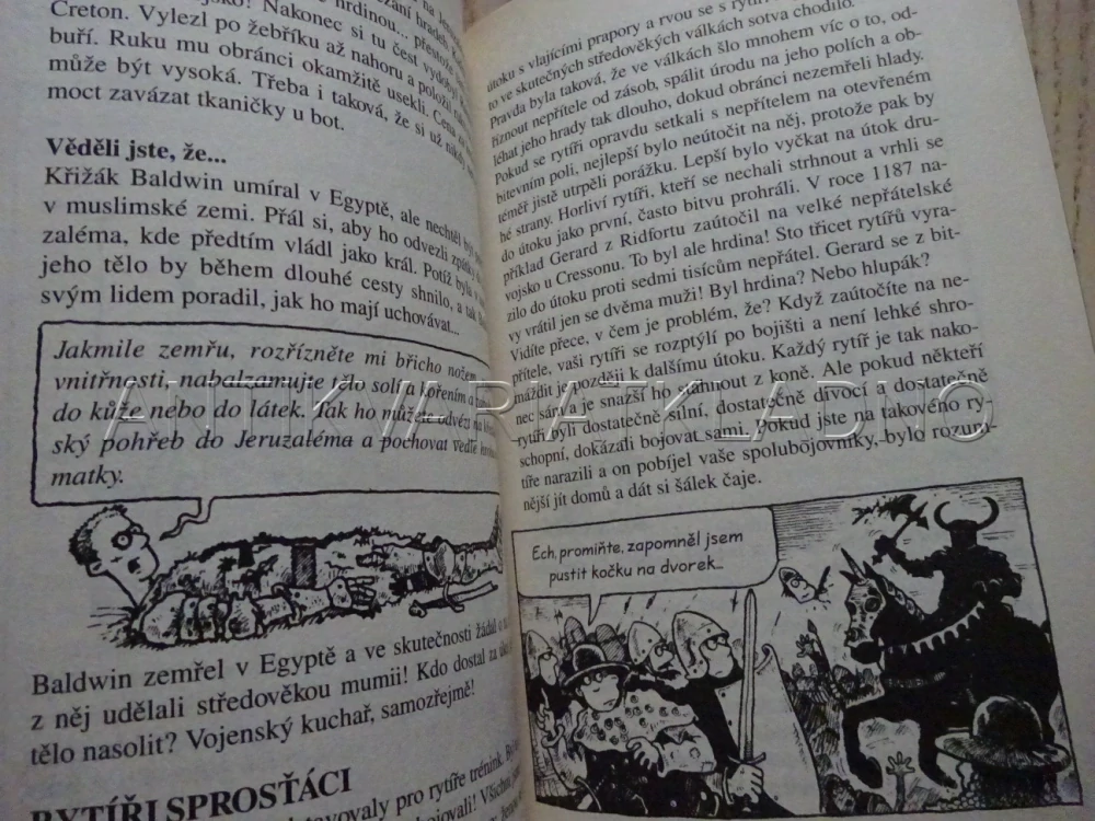 TEMNÍ RYTÍŘI A OŠUMĚLÉ HRADY, TERRY DEARY, PHILIP REEVE, **an