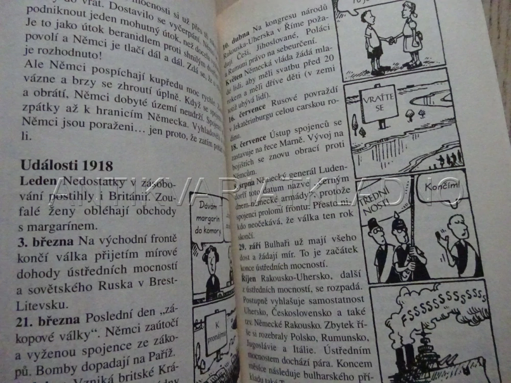 MIZERNÁ PRVNÍ SVĚTOVÁ VÁLKA, TERRY DEARY, MARTIN BROWN, **an