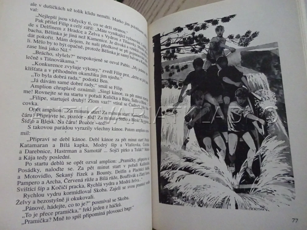 TAJEMSTVÍ VOLAVČÍHO JEZERA, JIŘÍ HOGAN, **an