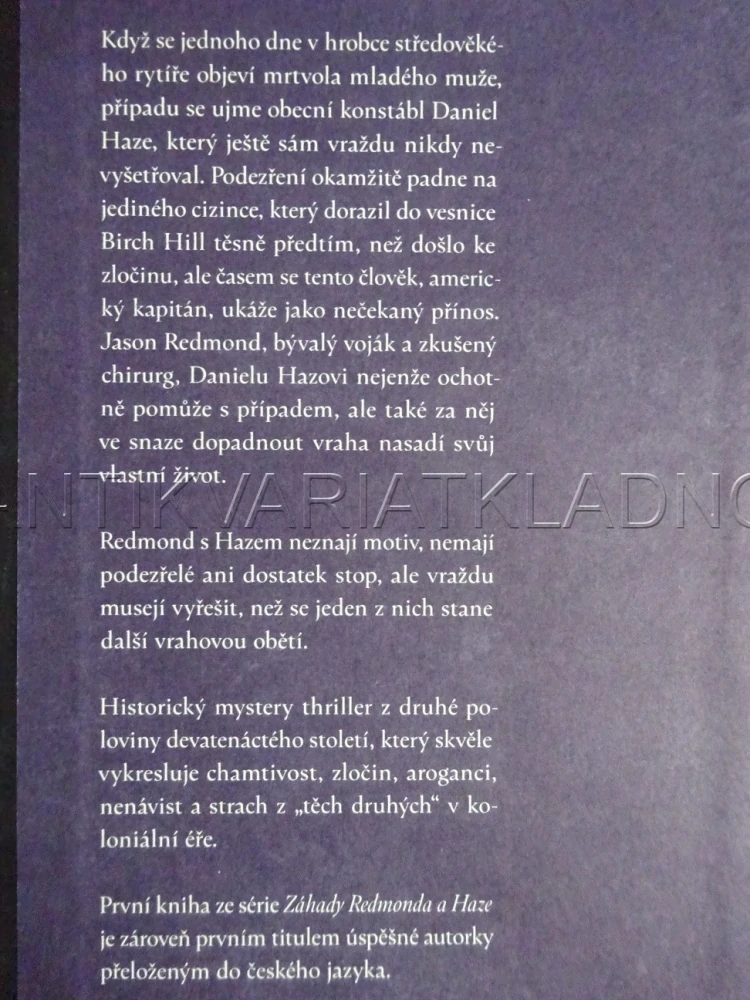 VRAŽDA V KRYPTĚ, ZÁHADY REDMONDA A HAZE 1, IRINA SHAPIRO, **an