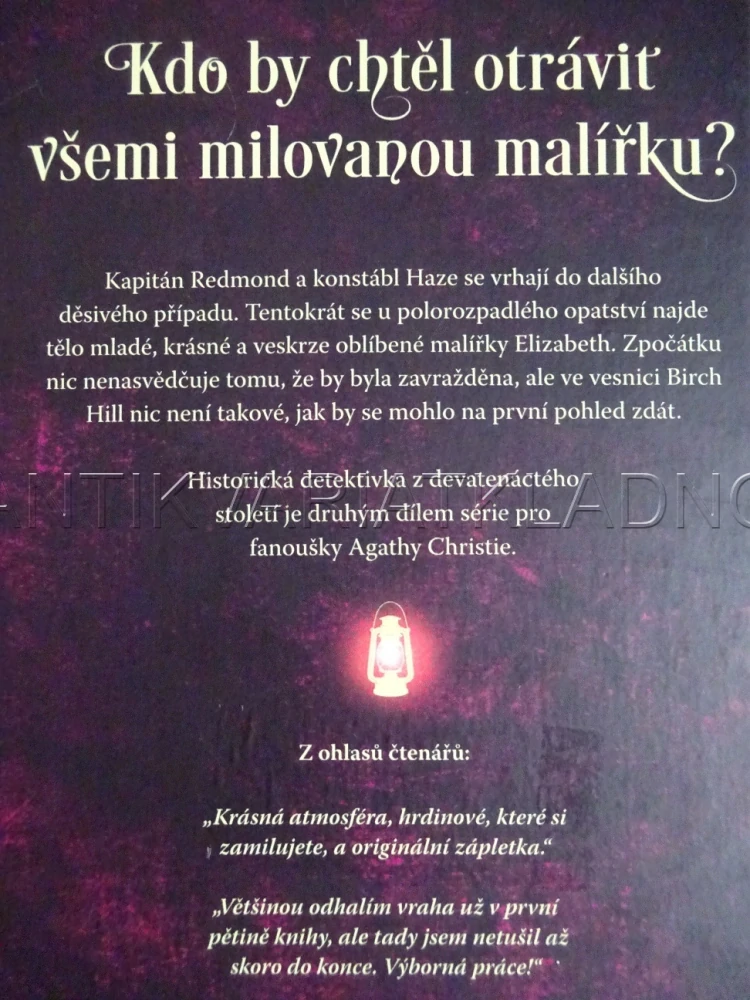 VRAŽDA V OPATSTVÍ, ZÁHADY REDMONDA A HAZE 2, IRINA SHAPIRO, **an