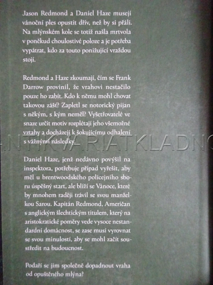 VRAŽDA VE MLÝNĚ, ZÁHADY REDMONDA A HAZE 3, IRINA SHAPIRO, **an