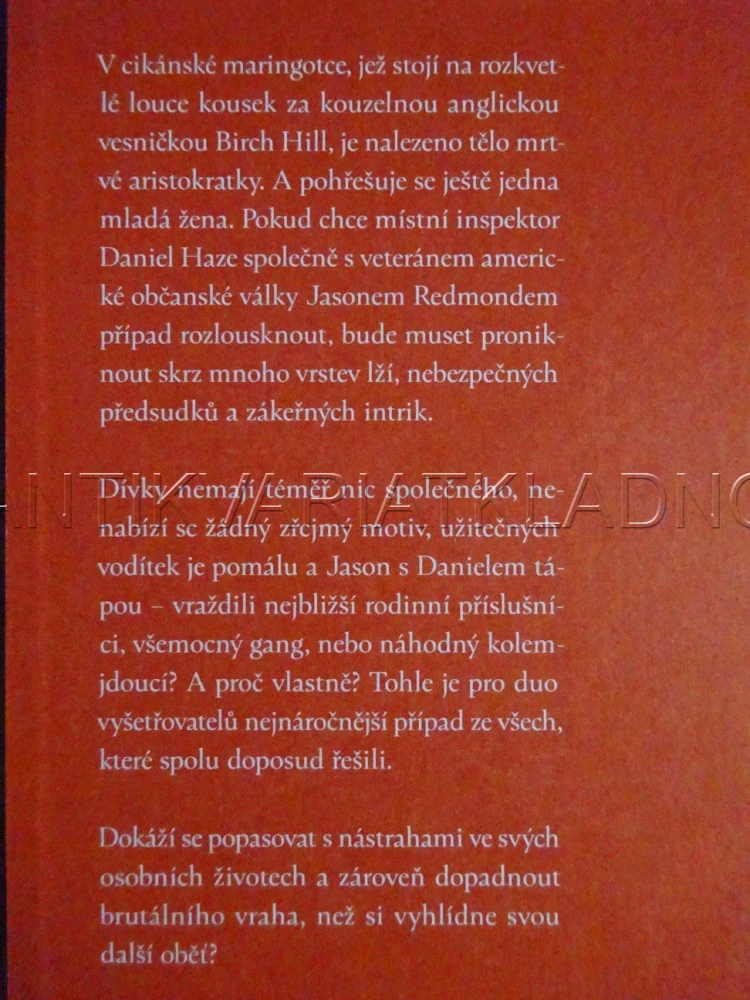 VRAŽDA V MARINGOTCE, ZÁHADY REDMONDA A HAZE 4, IRINA SHAPIRO, **an