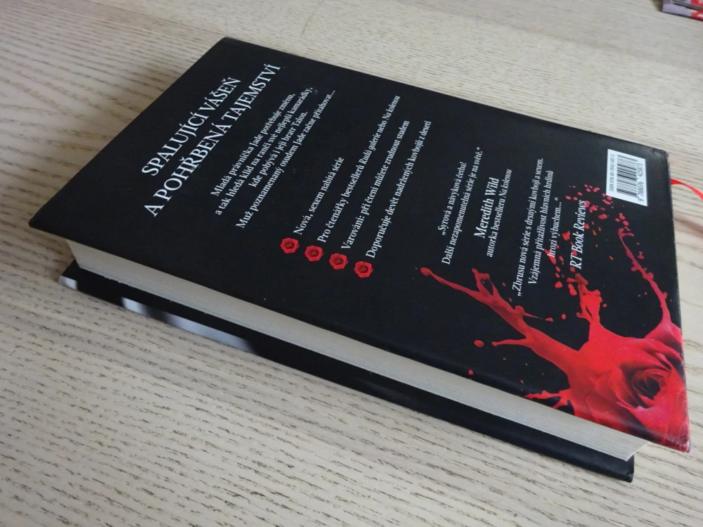 BRATŘI STEELOVÉ, TOUHA, HELEN HARDT, **an