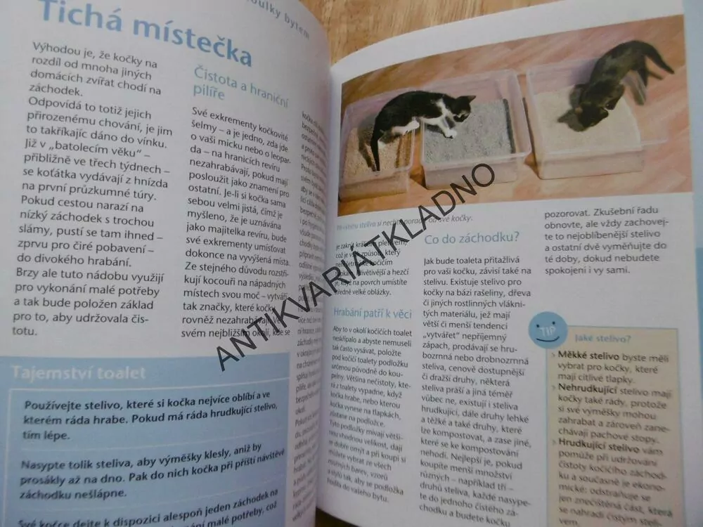 BYDLÍME S KOČKOU, KOČKA, PRAKTICKY, PŘÍJEMNĚ,VKUSNĚ