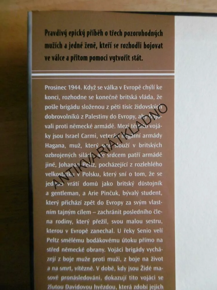 BRIGÁDA, PŘÍBĚH O ODVĚTĚ, SPASENÍ A DRUHÉ SVĚTOVÉ VÁLCE, HOWARD BLUM, **an