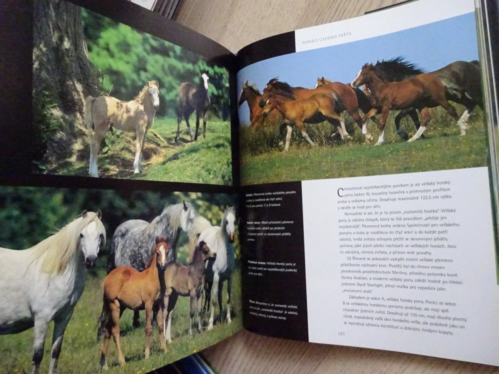 DUCH KONÍ, BOB LANGRISH, NICOLA JANE SWINNEYOVÁ, **an