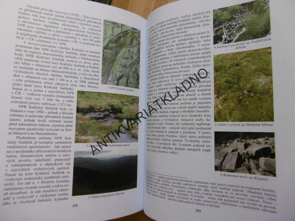 KRÁLÍKY A OKOLÍ V PRŮBĚHU STOLETÍ, BRANDEJS