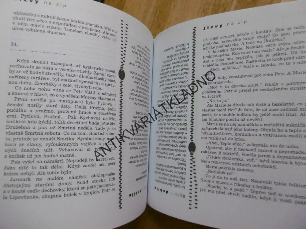 JIZVY NA ZIP, JAN KRŮTA, BYLO-DEBILO