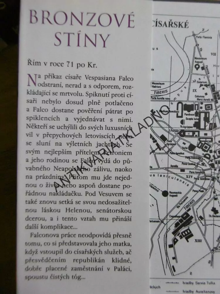 BRONZOVÉ STÍNY, LINDSEY DAVISOVÁ, **an